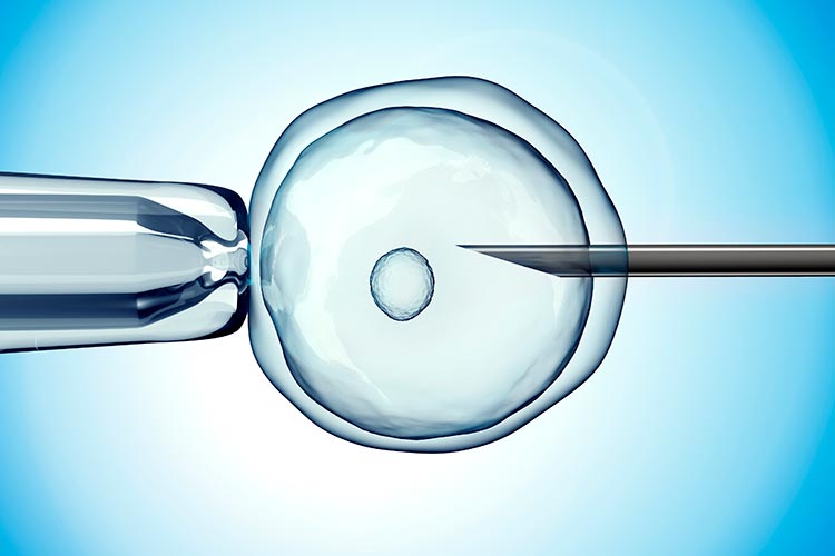 Services - In-Vitro Fertilisation (IVF)